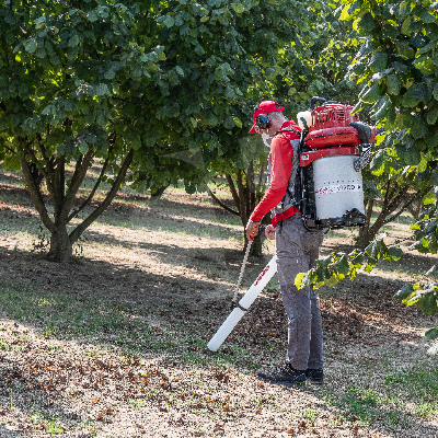 aspirador frutos secos cifarelli v1200 2