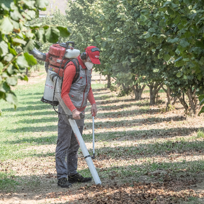 aspirador frutos secos cifarelli v1200
